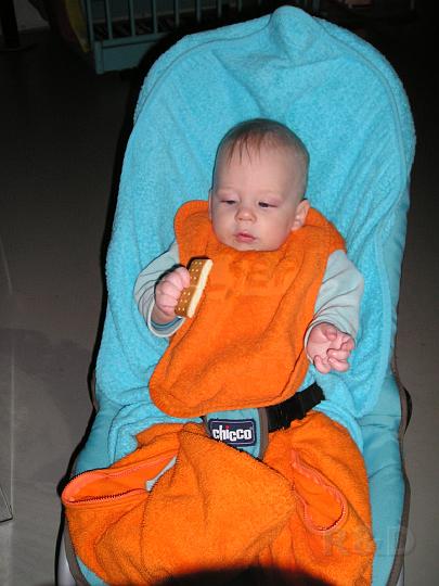 Imme 27 januari 2007 (1).JPG